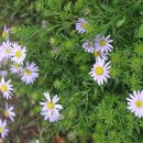 물길산장 이미지