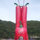 청양칠갑산구기자