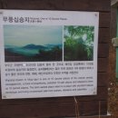 대덕산주유소 이미지