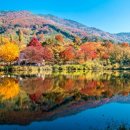 계룡산둘레길 이미지