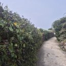 대정초등학교(병설) 이미지