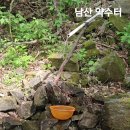 집에서 빤히 보이는 충주 남산....................(산) 이미지