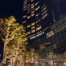 보세창 | 부산 파크하얏트 호텔 스위트룸 오션뷰 내돈내산 후기