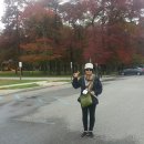 킹스포인트 이미지