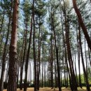 바다힐링2 이미지