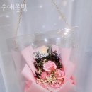 순애꽃방 이미지