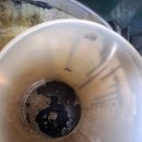 경원정비 | 울산 자동차 정비·수리 후기｜더넥스트 스파크, 미션 관리도 타이밍이 있더라고요