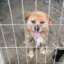 대자축산 이미지