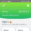 앱테크 짬짬이, 플러스캐시 후기 - 추천인 호떡이