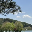 의림지무인텔 이미지