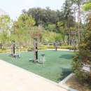 보라부동산공인중개사사무소 이미지