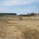 명산리마을회관 이미지