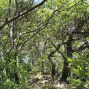 대전둘레산길(2구간) 이미지