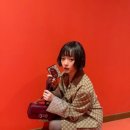 가방하니 이미지