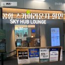 풀무원푸드앤컬처 동성화인텍 제2공장 | 인천공항 스카이허브 라운지 T1 위치 할인 시간 메뉴