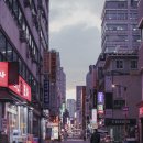 내고향 해물탕.찜전문 | 종로 밥집 종로 3가 밥집 / 내고향 해물탕 찜 전문