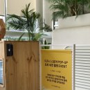 작고 소중해 | 디즈니 스토어 팝업 / 작고 소중해.
