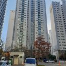 포항시북구53 이미지