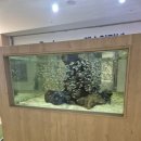 아쿠아 밸리 이미지