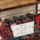 다포아라 이미지