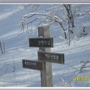 1월17일[100대명산]사북 백운산(1,426m)(스키장) 운탄고도 하늘길“한국판 차마고도” 이미지