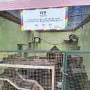 모여라 농장