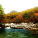 구천동1로 이미지