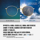 마나나안경원 이미지