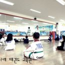 단국대 나래태권도 이미지