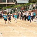 태릉초등학교 이미지