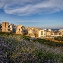 예래동-7 이미지