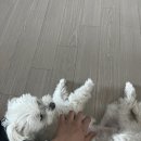 텐퍼센트신대부적점 이미지