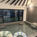 파파어부 이미지