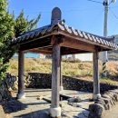 작은등샘 이미지