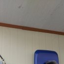 여주-0691 이미지