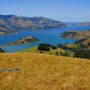 아카로아 이미지