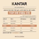 인셀덤top