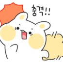 동우수산 이미지