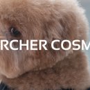 마르쉐(Marcher) 이미지