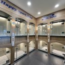 소소다정 | 넓은 옥상 단독 야외 테라스에서 마음껏 뛰어놀고 소형견 맞춤 정원제로 꼼꼼하게 다정 케어받은 후기