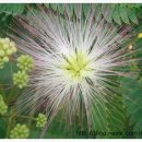 서건유통 이미지