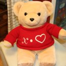 포들포들 이미지