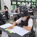 진접애견미용 이미지