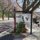 별헤는 몰랑