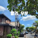 [인도네시아 발리] Day 4-사누르에서 우붓으로