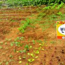 빈이네농장 이미지