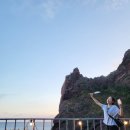 이스트독도 이미지