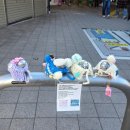 용신38 | [해외여행/도쿄] 도쿄 3박 4일 Day2 가마쿠라&amp;에노시마