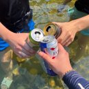 밀양얼음골자연애길목 이미지