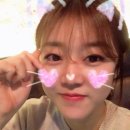 서하컴퍼니 이미지